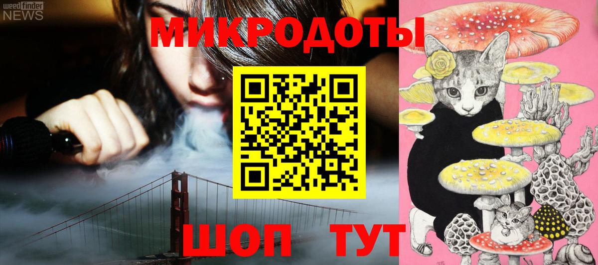 Псилоцибиновые грибы Psilocybe  Вход с VPN  Новосибирск 